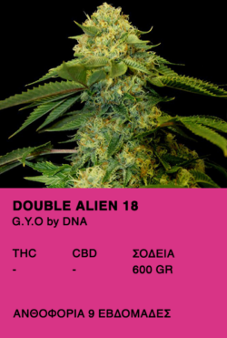 Double Alien 18 - G.Y.O by DNA