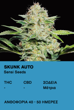 Skunk Auto - Sensi Seeds
