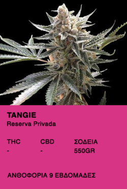 Tangie- Reserve Privada