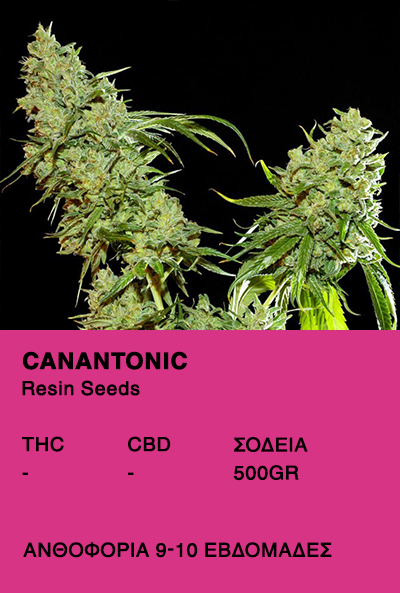Cannatonic-Resin Seeds