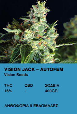 Vision Jack AutoFem