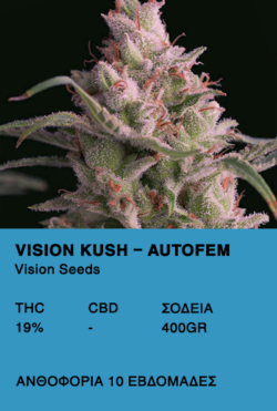 Vision Kush AutoFem-