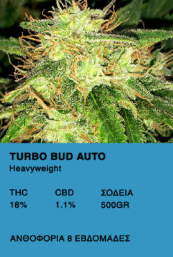 Turbo Bud Auto-Heavyweight