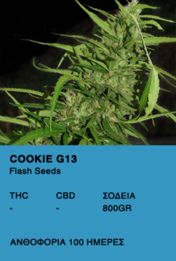 Cookie G13 SuperAuto-Flash Seeds