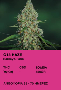 G13 Haze-Barney's Farm