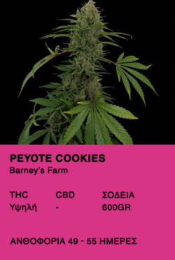 Peyote cookies-Barney's Farm