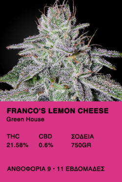 Franco's Lemon Cheese-Green House