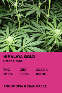 Himalaya Gold-Green House
