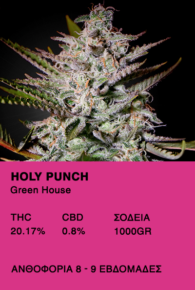 Holy Punch-Green House