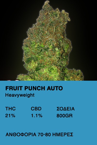 Fruit Punch Auto