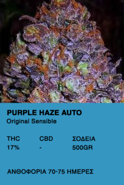 Purple Haze Auto