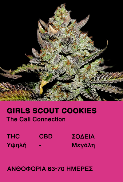 Girl Scout Cookies - The Call Connection