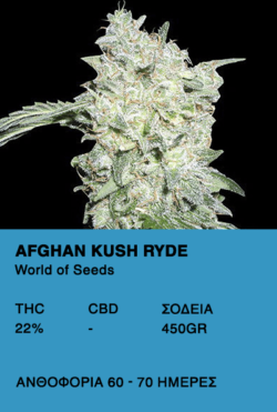 Afghan Kush Ryder - World of Seeds