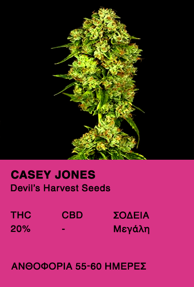 Casey Jones - Devil's Harvest Seeds