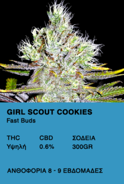 Girl Scout Cookies Auto - Fast Buds