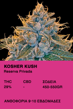 Kosher Kush -Reserva Privada
