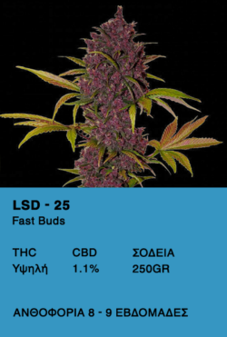 Lsd 25-Fast Buds