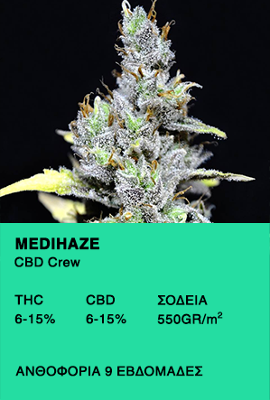 Μedihaze-Cbd Crew