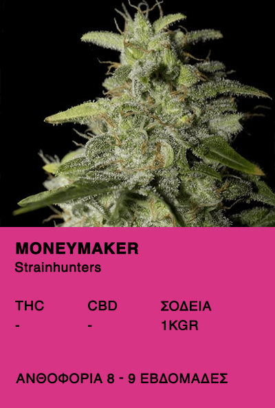 Money Maker - Strainhunters