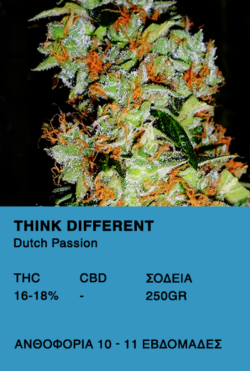 Think Different - Dutch passion